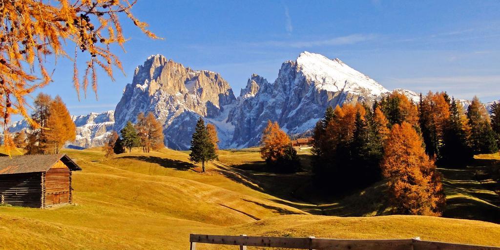 Camera Alpe Di Siusi Rom bilde